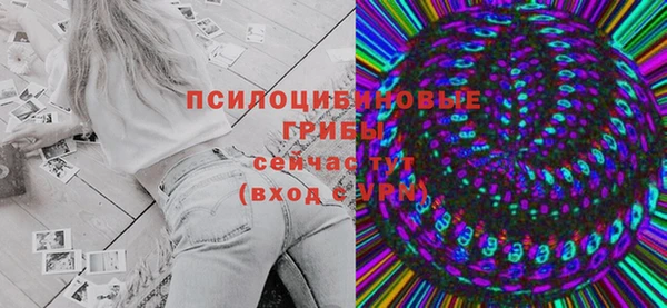 дурь Гусиноозёрск