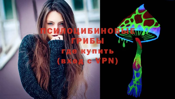 соль ск Вязники