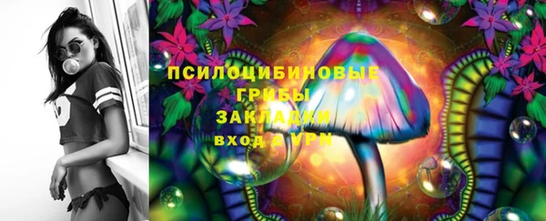 ешки Гусев
