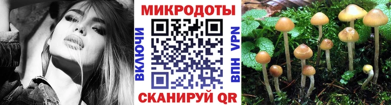 Галлюциногенные грибы мицелий  купить наркотик  ссылка на мегу ТОР  Жирновск 